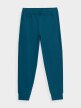 OUTHORN Men's sweatpants sea green 4